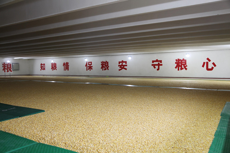 微信圖片_20220920084722_副本.jpg